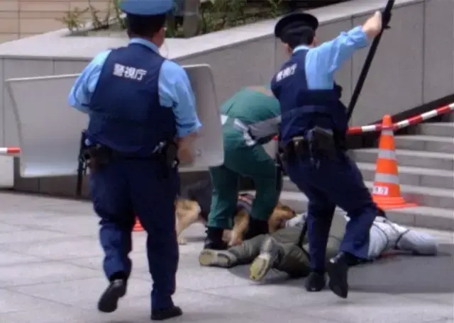 日本治安那么好,日本警察都怎么干活儿的?