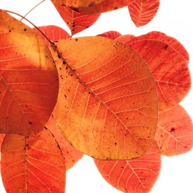 佳能EOS 80D 销量这么高!有全幅还要残幅?