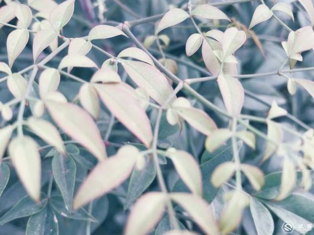 佳能EOS 80D 销量这么高!有全幅还要残幅?