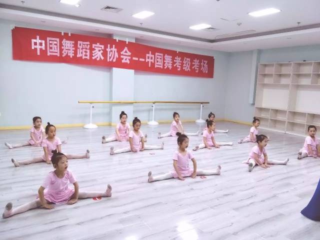 舞蹈学校：培养未来的舞者