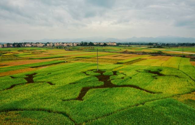 地址:宁明县明江镇 交通:距离宁明县城7公里 17377170729 点"阅读