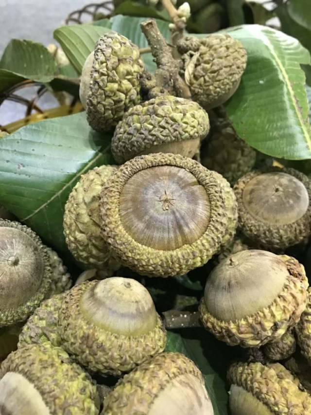 您知道风流果是什么吗?这些优稀特品种我们也是第一次见!