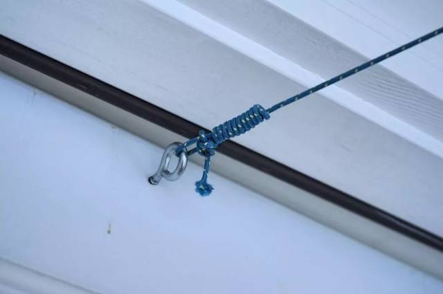 犟人精神4:阿拉斯加神狗侠侣