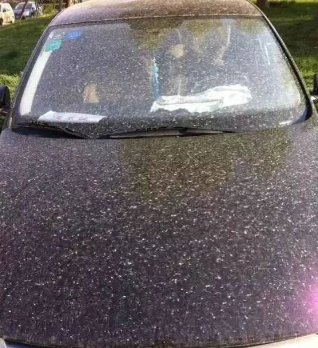 你是否有过这样的经验: 不洗车等下雨时 雨又迟迟不来 但,你真的会