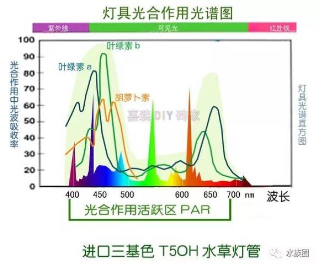 几张图教你看懂水草灯(各种水草灯光谱解析及led详解)