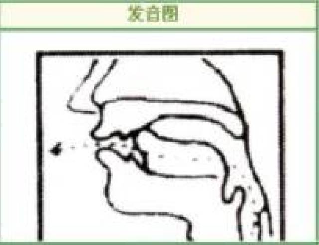 如何区分舌边音\/l\/和鼻音\/n\/