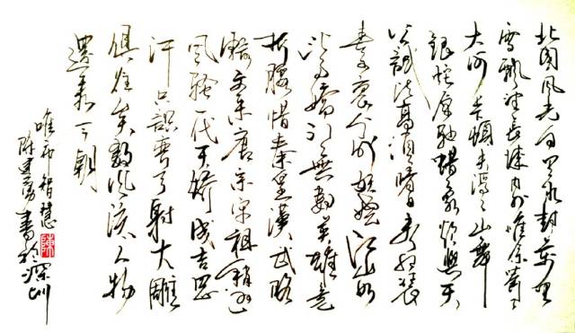 硬笔草书《沁园春·雪》