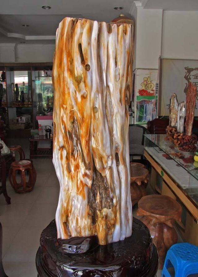 世界级精美玉化"硅化木",呈现自然魅力.