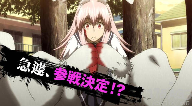 「牙斗兽娘」公布角色pv第3弹,这只凶萌的兔子你喜欢吗?