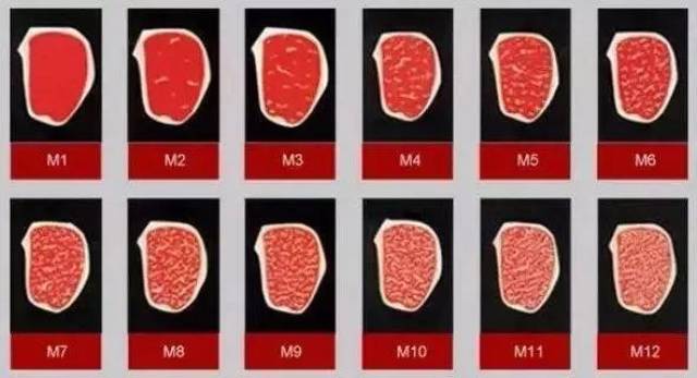 澳洲和牛最直接等级分类 是按照大理石纹(marbling)即雪花 分为m1