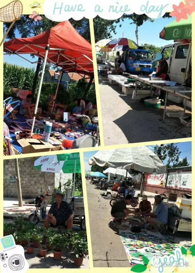 龙口这个村净出大名人!但最火的竟然是