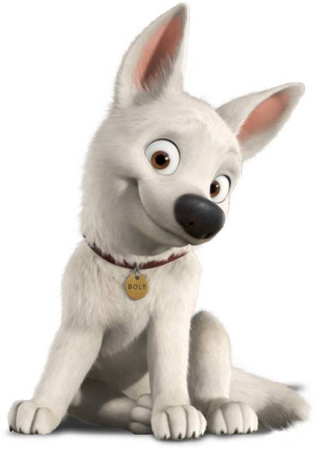 关于狗狗的动画片 搜狐网