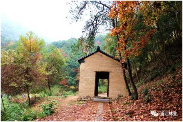 佑巖禪寺鐘聲遠 桃嶺風光依舊在