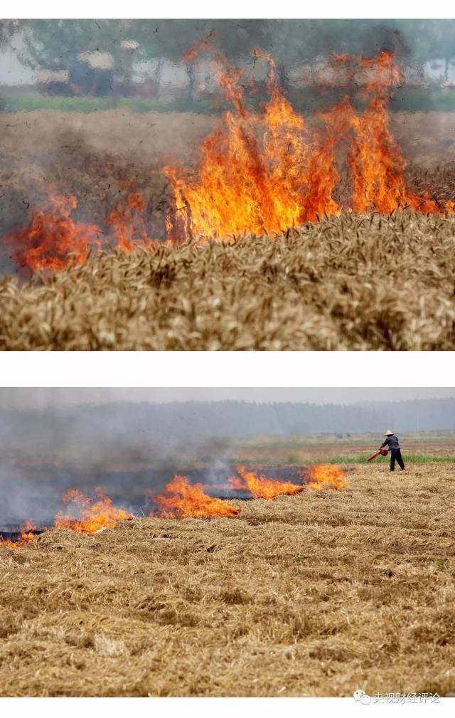 烧秸秆顽疾如何根治?