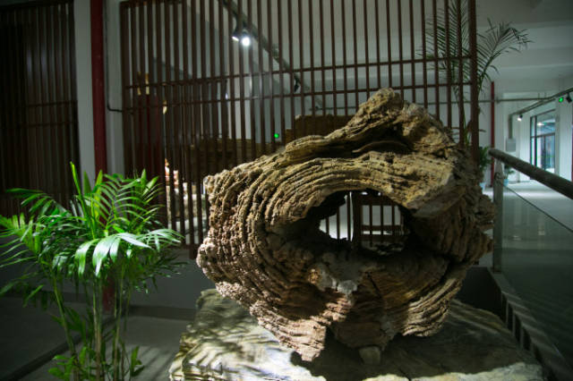 造物纪