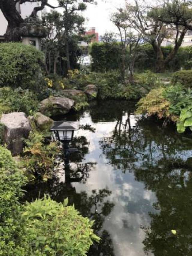 15分钟 | 李星玥:在细雨霏霏的时节遇见你