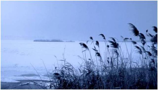 中华诗词之美不仅美在它热情浪漫,意境唯美,尤其是其中出现了许多美丽