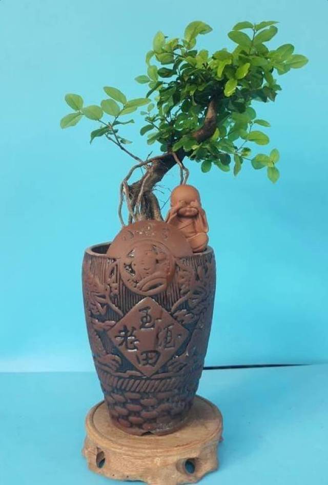 1元不到的废酒瓶,竟然被做成了艺术品,1000块都不卖!