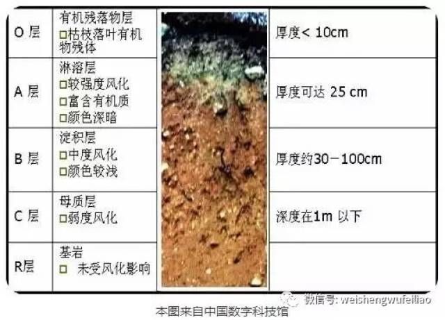 土壤沉积物分层示意图图片