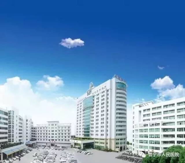 手机壳批发行业动态：紧跟市场脚步