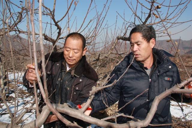 "2017延庆榜样"候选人事迹展播!——周顺海