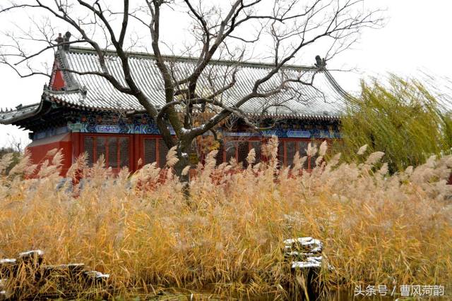 禅香寺,位于菏泽乃至世界最大的曹州牡丹园内,环境