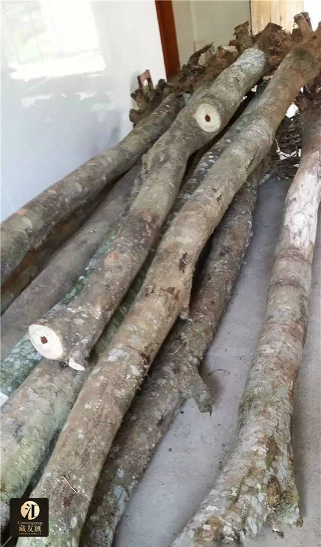 海南黄花梨最全面的知识