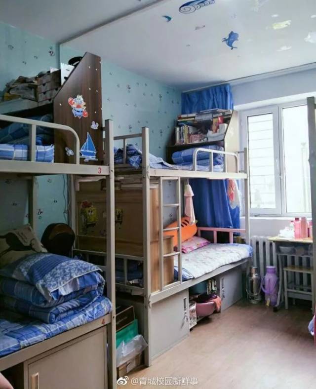 呼市一高校学生把宿舍打造成了梦幻空间!又是别人家的宿舍!