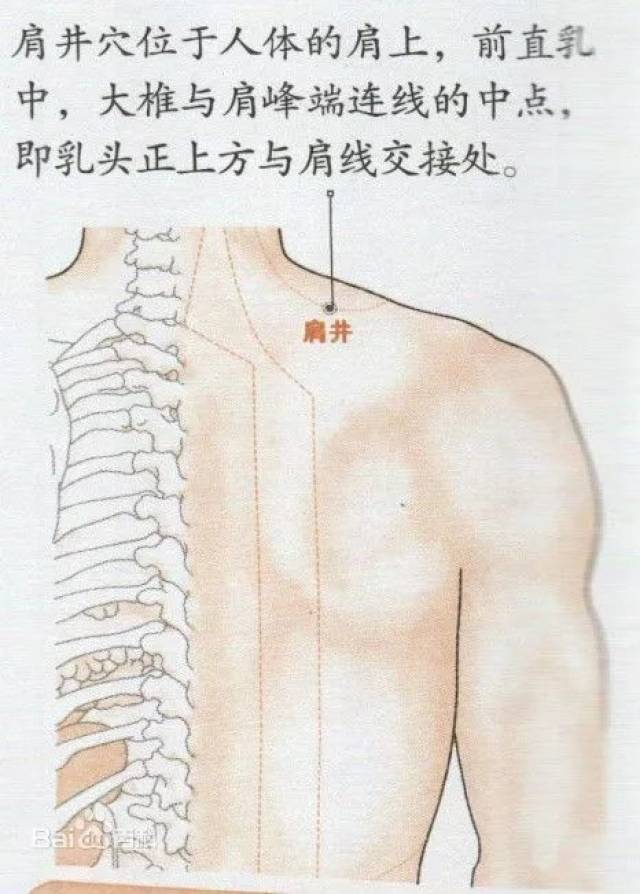 颈肩 常按这5个穴位,缓解肩颈疼痛