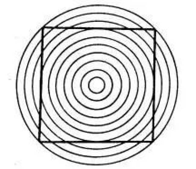赫林错觉也是一种几何光学错觉,被德国生理学家发现埃瓦尔德·赫林于