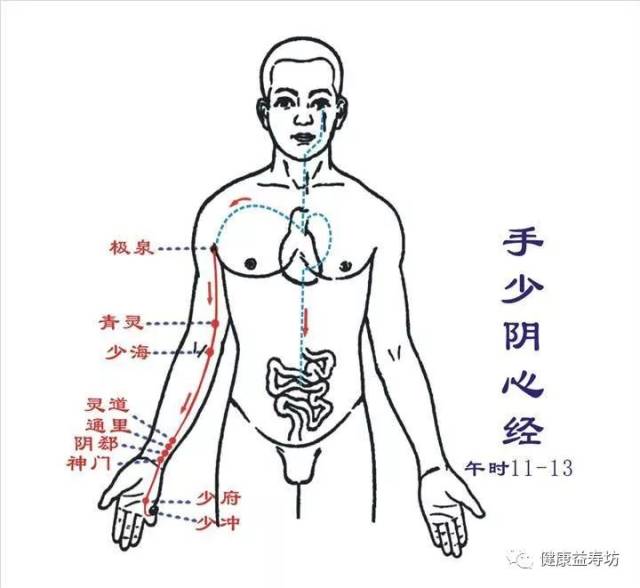 人体十二经络的当令时间和养生事项