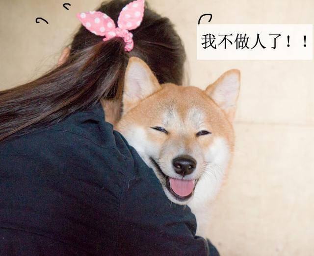 人不如狗!身为盛世美颜coser,家里还有颜值超高的狗!