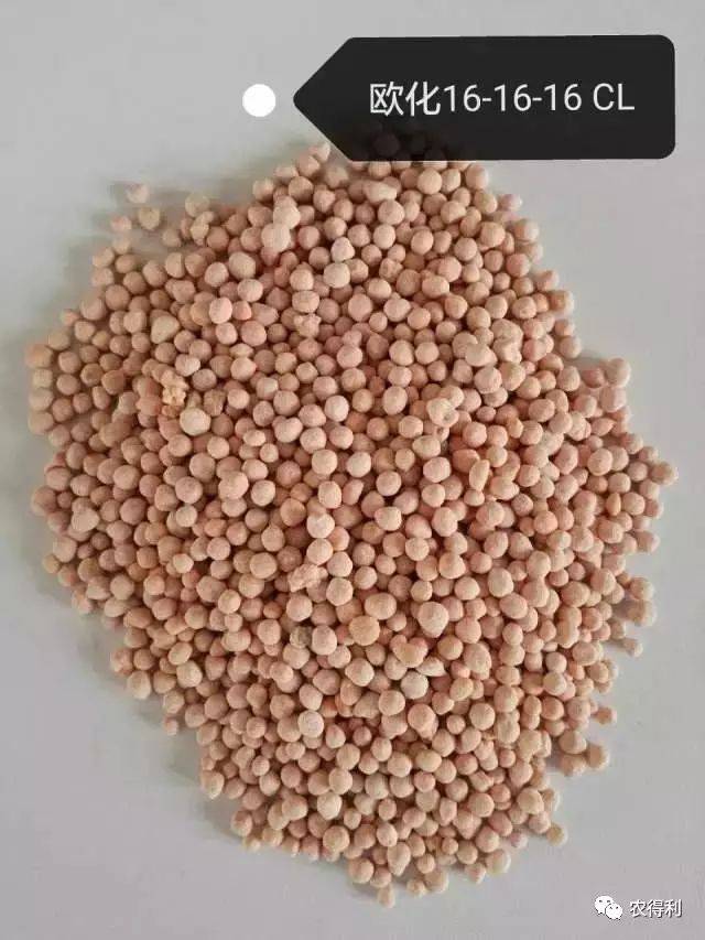 真材实料好肥料---俄罗斯16-16-16复合肥(欧化)