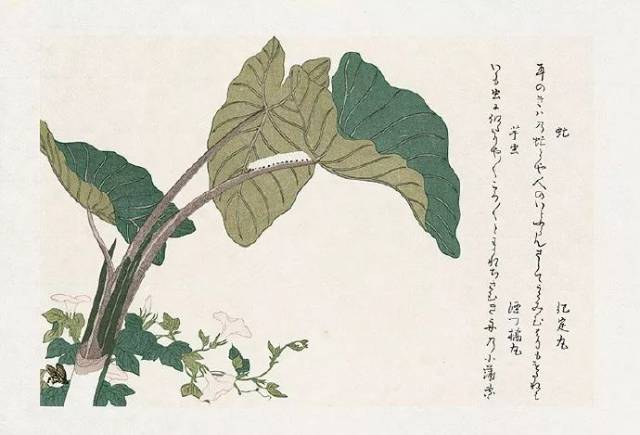 け*ん様 版画 上吉原勉 木版画『ワタスゲの咲く頃』 Yahoo