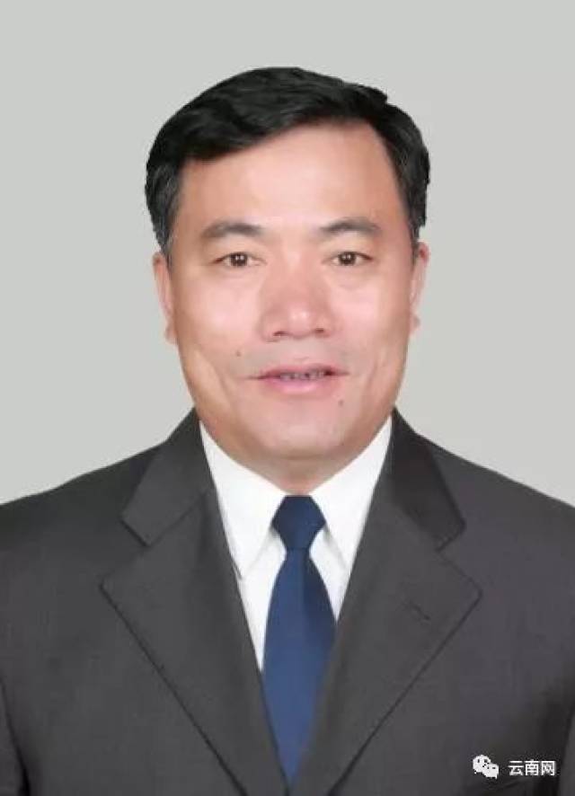 云南9位省管干部任前公示:何民拟提名为红河州副州长人选!