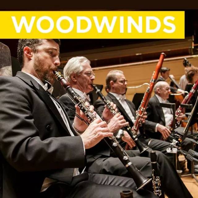 据说不了解这些,就没法听懂交响乐!