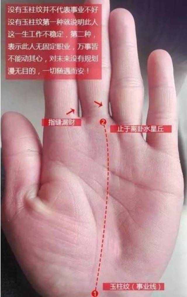 玉掌流手相大全 玉掌流手相大全 - メルカリ