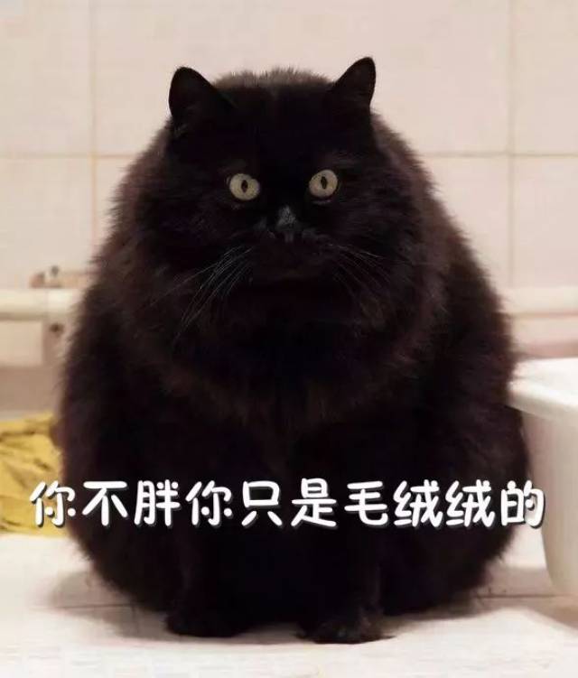 曾经有人跟我说:黑色显瘦!我就问你哪里瘦了!