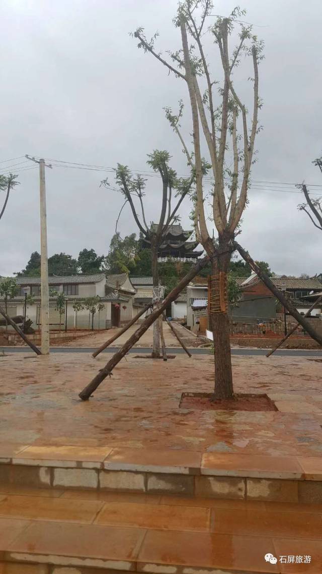 為五彩雙昂,且出雙斜昂,古鏡式柱礎,簷口仍保留閘擋板,裡口木等做法