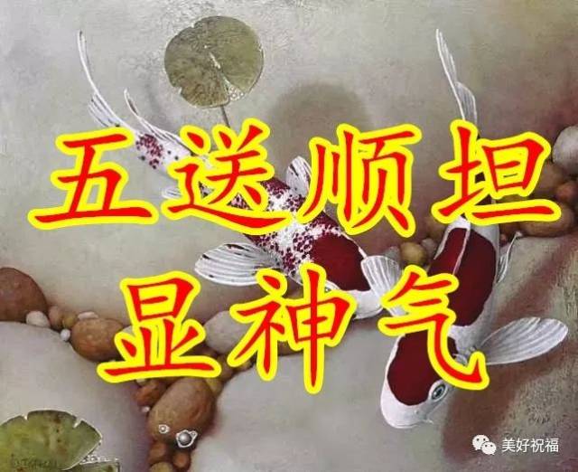 願你一生好運不斷, 趕緊打開看看!