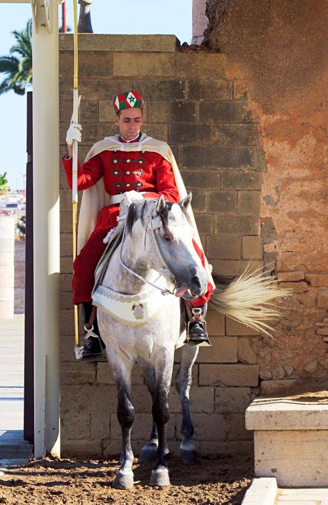 摩洛哥首都的皇家骑兵_手机搜狐网