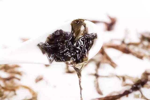 你见过"活"的紫菜吗?被称作黑燕窝的长寿菜
