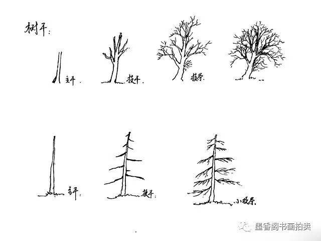 画树的基本步骤 这是一副胡杨的速写