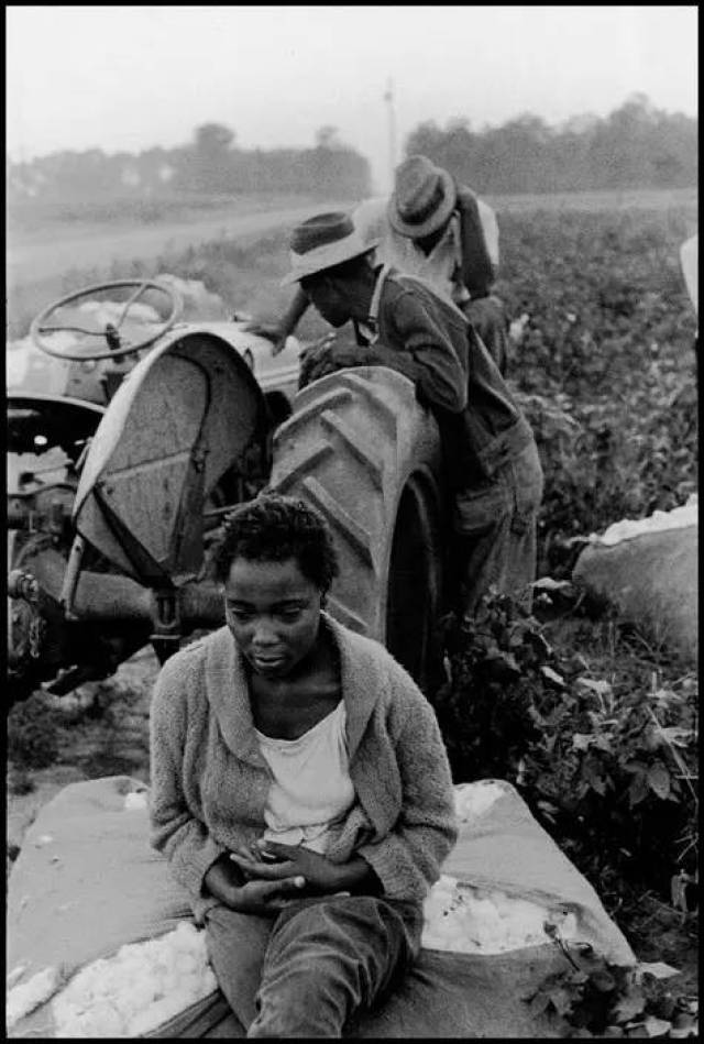 布魯斯·戴維森(bruce davidson)時間的變化