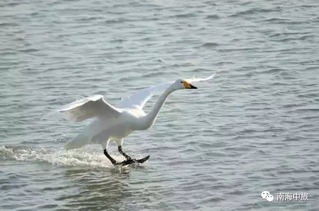 双12放价 | 超抵玩国内游推荐,赏名山秀水,游魅