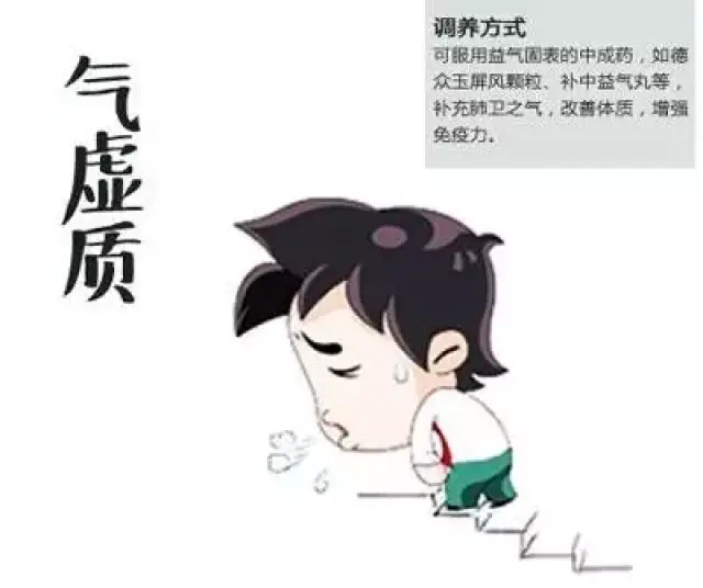 二,气虚体质