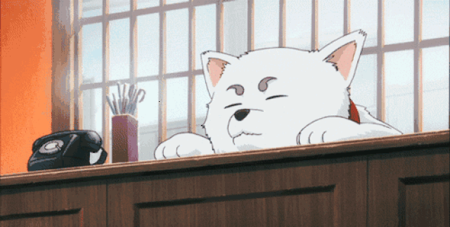 配图:《银魂》 一只想要置我于死地的猫.