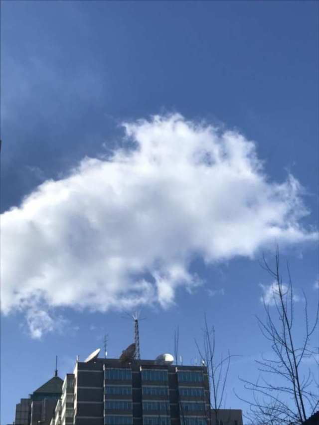 今天北京的空气质量指数15,位列全国之首.