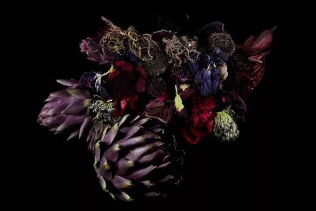 日本花艺设计师,带你领略没见过的花卉百变姿态|艺人