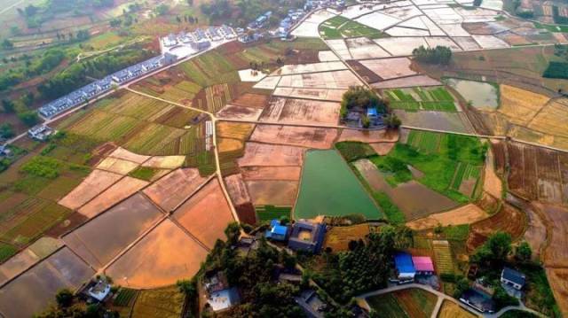 兆嘉乡仓田村 合兴乡灯塔村 景贤乡芭蕉村 景贤乡马贤村 景贤乡新村